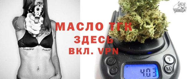 прущий лед Вяземский