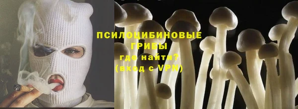 МДПВ Вязьма