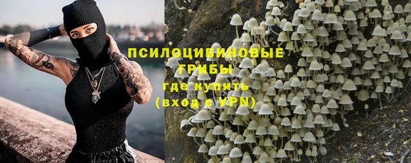 прущий лед Вяземский