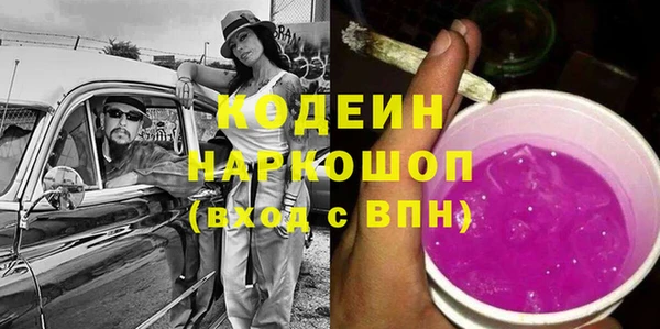 прущий лед Вяземский