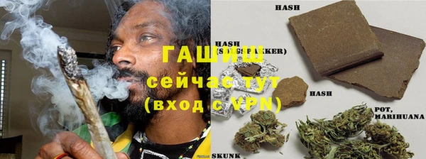 прущий лед Вяземский