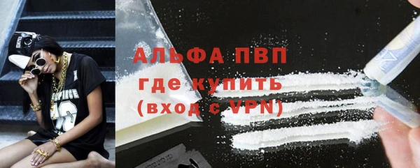 прущий лед Вяземский