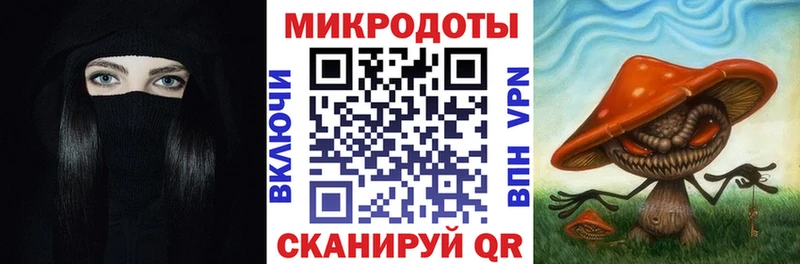 Псилоцибиновые грибы Psilocybe  Ишим 