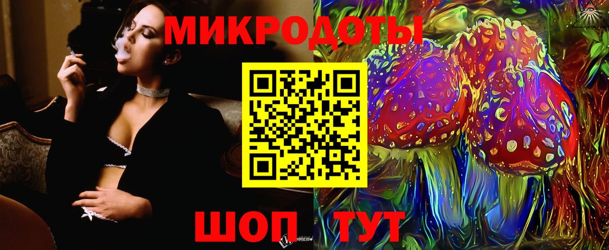 Галлюциногенные грибы Psilocybe  Ишим 