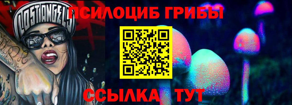 Галлюциногенные грибы прущие грибы Ишим